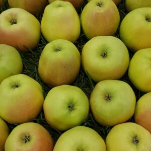 Jabloň "Golden Delicious®"