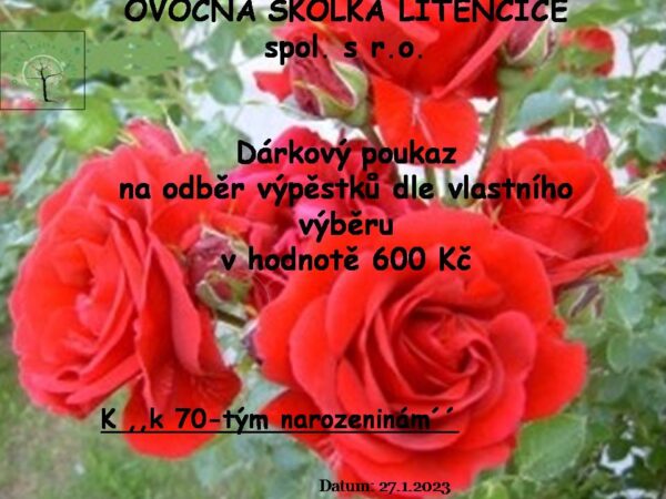 Dárkový poukaz